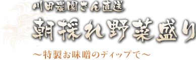 朝採れ野菜盛り